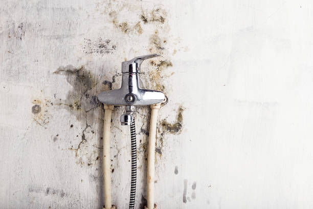 Best Mold Testing  in Morgantown, WV