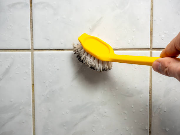 Best Attic Mold Removal  in Morgantown, WV