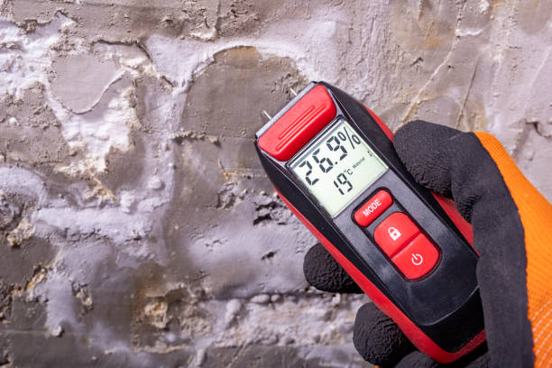 Professional Mold Removal in Morgantown, WV