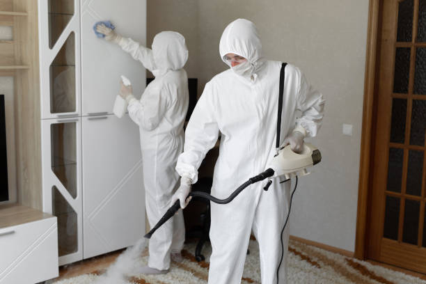 Best Mold Removal Specialists  in Morgantown, WV