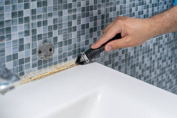 Best Mold Remediation  in Morgantown, WV